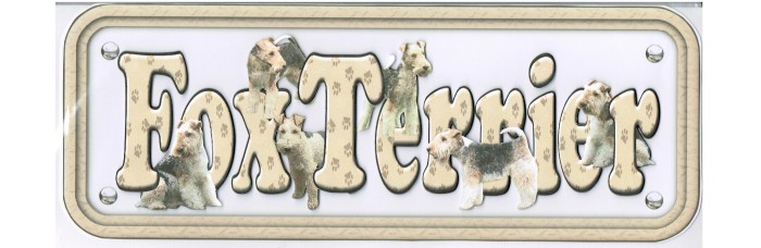 Fox Terrier - wire hair